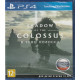 игра Shadow of the Colossus. В тени колосса Русская Версия (PS4)