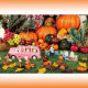 Sylvanian Families Набор Прогулка на велосипеде и катание на роликах